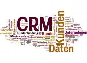 Verlieren Sie im CRM-Dschungel nicht den Überblick