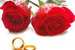 Zubehör für die Hochzeit: Verlobungsringe und Trauringe